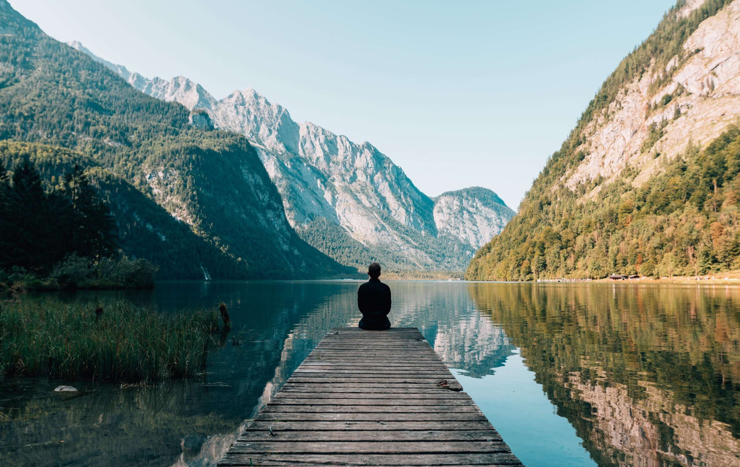 Take a digital detox