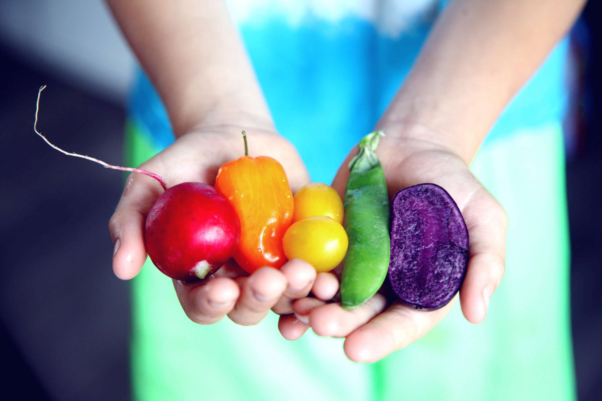 Person holding a rainbow of coloured vegetables to illustrate that you are what you eat